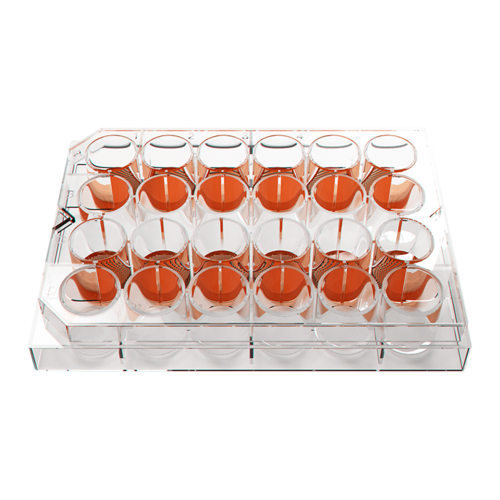 Plaques de culture cellulaire Kugelmeiers – Sphericalplate 5D (SP5D)